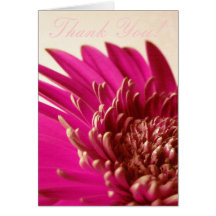 Carte rose de Gerbera