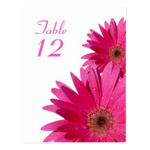 Carte rose de nombre de Tableau de marguerite de G Carte Postale