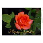 Carte rose grandiflora orange de joyeux anniversai