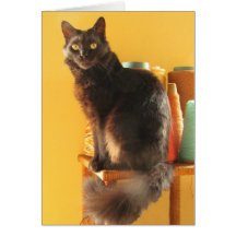 Carte - salutation - chat avec le fil