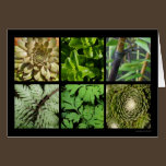 Carte verte de feuillage cartes