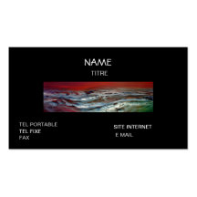 CARTE VISITE ARTISTE CARTES DE VISITE PROFESSIONNELLES