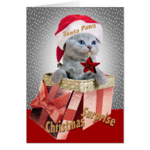 Cartes britanniques de surprise de Noël de chaton 