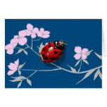 cartes de coccinelles de tache de coeur de fleur d