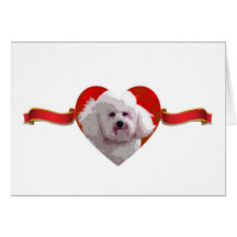 Cartes de coeur et de ruban de Bichon Frise