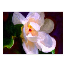Cartes de collection d'art de la magnolia ACEO de  Modèle De Carte De Visite