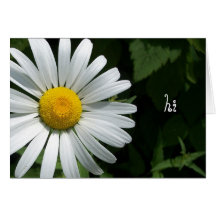 Cartes de note de marguerite de Shasta