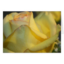 Cartes de note de rose jaune