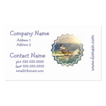 Cartes de visite de kitesurf cartes de visite professionnelles
