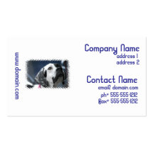 Cartes de visite noirs et blancs de chien d'indica cartes de visite personnelles