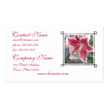 Cartes de visite orientaux roses de lis cartes de visite professionnelles