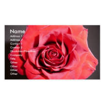 Cartes de visite roses carte de visite