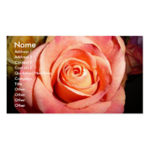 Cartes de visite roses modèle de carte de visite