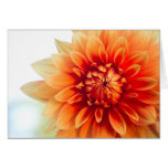Cartes florales de salutation et de note d'occasio