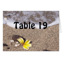Cartes nominatives tropicales de couvert de plage