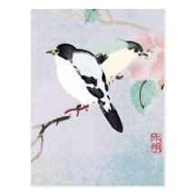 Cartes postales de détente de ~ d'oiseaux