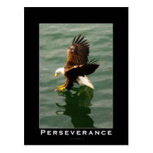 Cartes postales de motivation chauves d'Eagle