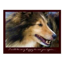Cartes postales personnalisables de colley