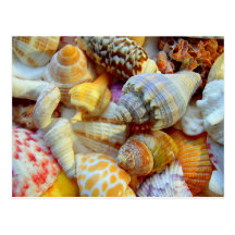 Cartes postales tropicales de photographie de coqu