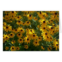 Cartes pour notes de ressort
