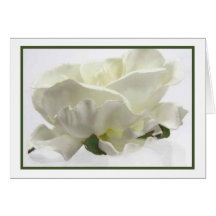 Cartes pour notes floraux blancs élégants de maria
