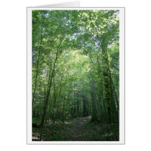 Cartes pour notes pittoresques personnalisables
