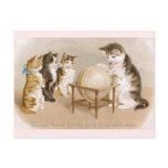 Cartographer Cat and Three Kittens