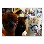 Cartoon Alpacas Card