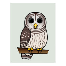 Cartoon Barred Owl Postcard