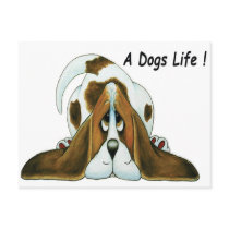 Cartoon Basset Hound, A Dog's Life Post Card