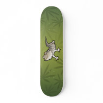 Cartoon Bearded Dragon / Rankin Dragon