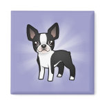 Cartoon Boston Terrier
