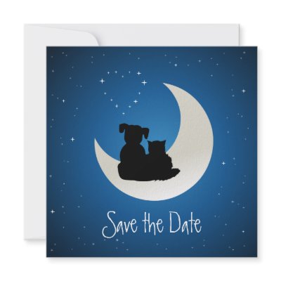 Cartoon Cat and Dog - Save the Date invitation by BluePlanet