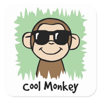 Cool Monkey Images