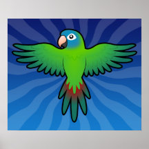 Cartoon Conure / Lorikeet / Parrot Print