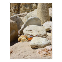 Cartoon Crab on Rocky Beach Post Card