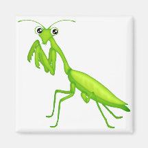 Cartoon Green Praying Mantis Magnets