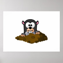 Cartoon Groundhog Posters