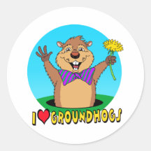 Cartoon Groundhog Round Stickers