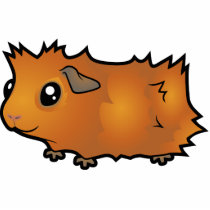 Cartoon Guinea Pig (scruffy)