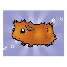 Cartoon Guinea Pig (scruffy) Post Cards
