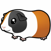 Cartoon Guinea Pig (smooth hair)