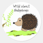 Cartoon Hedgehog Stickers