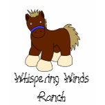 Cartoon Horse, Whispering Winds Ranch t-shirts