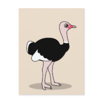 Cartoon Ostrich Post Cards