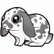 Cartoon Rabbit (floppy ear smooth hair)