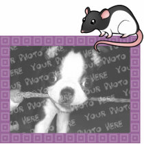 Cartoon Rat Photo Frame