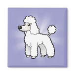 Cartoon Standard/Miniature/Toy Poodle