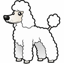 Cartoon Standard/Miniature/Toy Poodle (puppy cut)