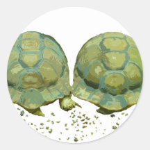Cartoon Turtles Sticker